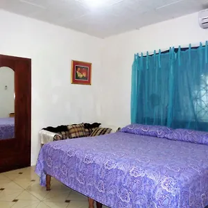 ***** Guest house Yard Style Jamaica